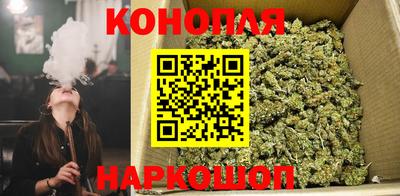 гашик Апрелевка