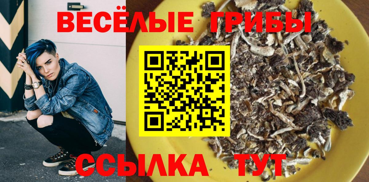 Псилоцибиновые грибы мицелий Апрелевка