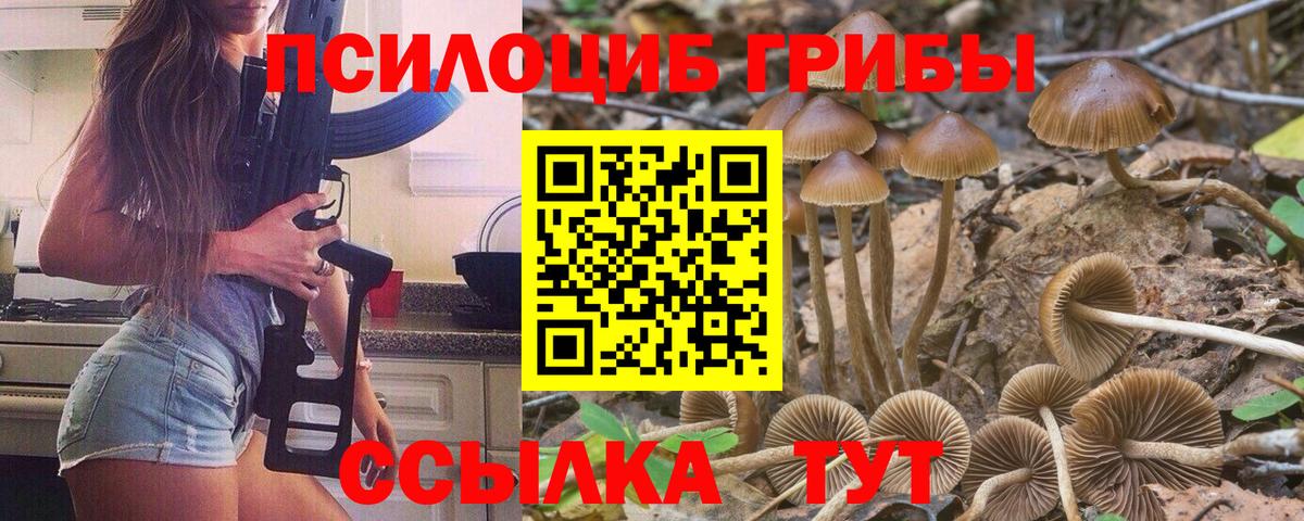 Псилоцибиновые грибы Psilocybe  Вход с VPN  Апрелевка 
